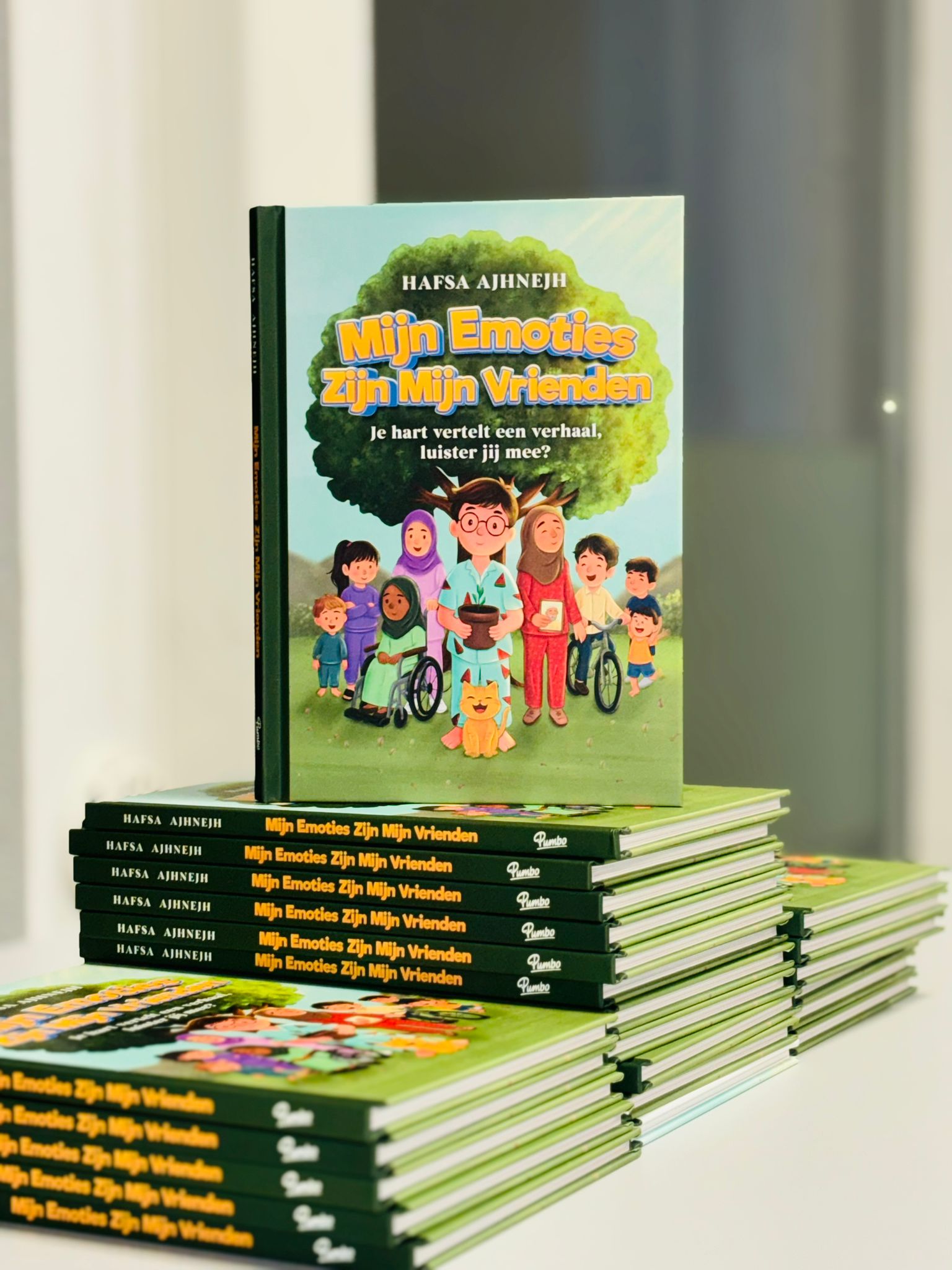 Book preview